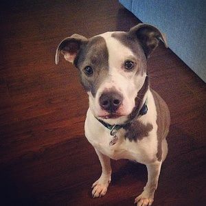 Meet your Posher, Shaelynn