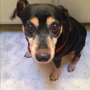 Meet your Posher, Judy