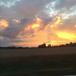 Meet your Posher, Sasha