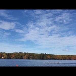 Meet your Posher, Lily