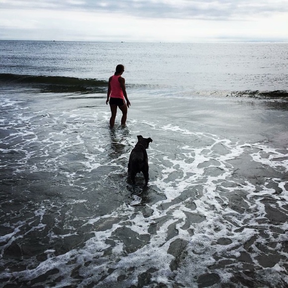 Meet your Posher, Mischa - Picture 1 of 1