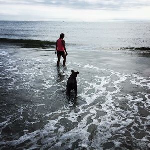 Meet your Posher, Mischa