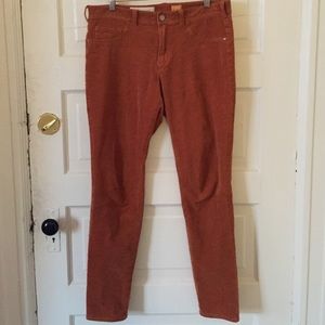 ANTROPOLOGIE PILCRO pants
