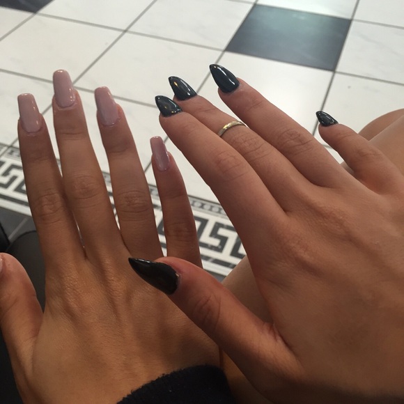 Meet your Posher, Coco - Picture 1 of 1