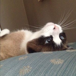 Meet your Posher, Michelle