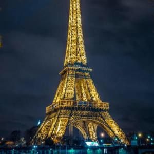 Meet your Posher, Liza