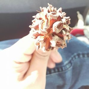 Meet your Posher, Angel