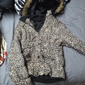 Cheetah winter coat