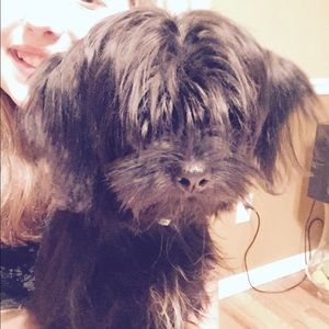 Meet your Posher, Raisa