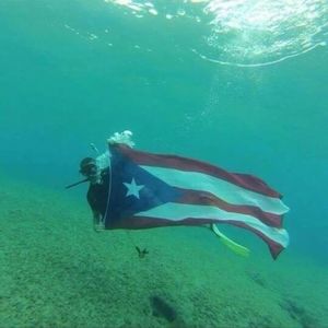 Meet your Posher, Ralph