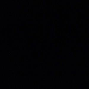 Meet your Posher, Lenetta