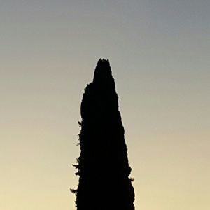 Meet your Posher, Roman