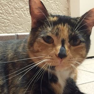 Meet your Posher, Teri