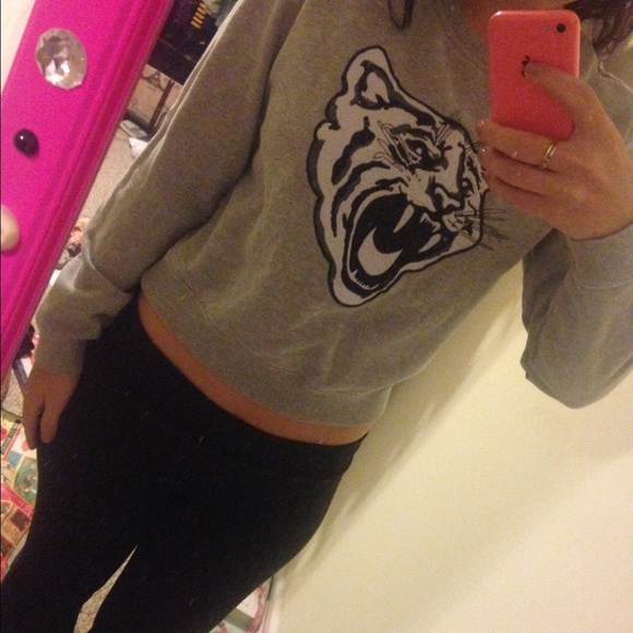 Pacsun tiger sweater