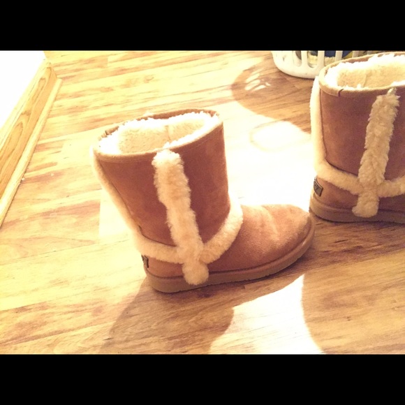 Chestnut ugg boots