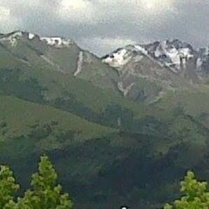 Meet your Posher, Dorothy