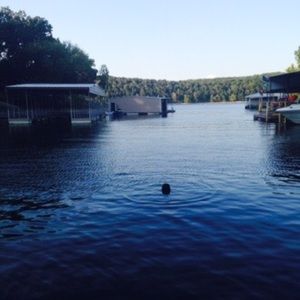 Meet your Posher, Eden