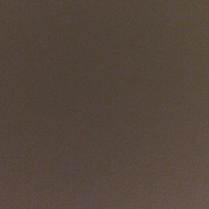 Meet your Posher, Ally