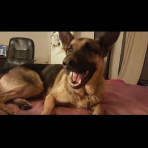 Meet your Posher, Sheila