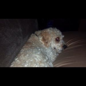 Meet your Posher, Melanie