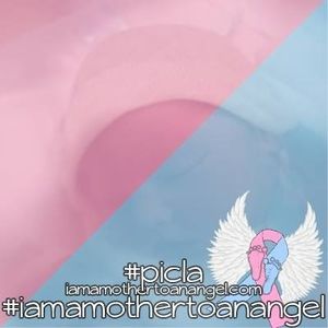 Meet your Posher, Carly