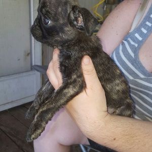 Meet your Posher, Hazel