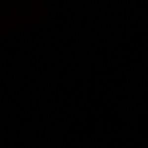 Meet your Posher, Karina