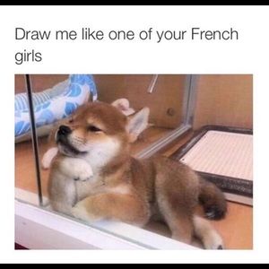 Meet your Posher, Haley