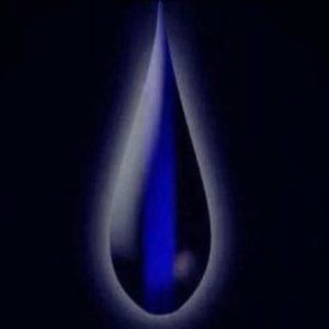 Meet your Posher, Gary