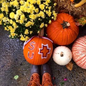 Meet your Posher, Taylor