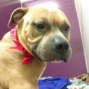 Meet your Posher, Rileigh