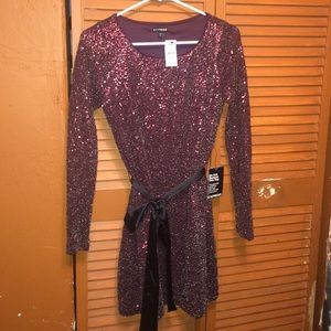 Express Plum Sequin Dress