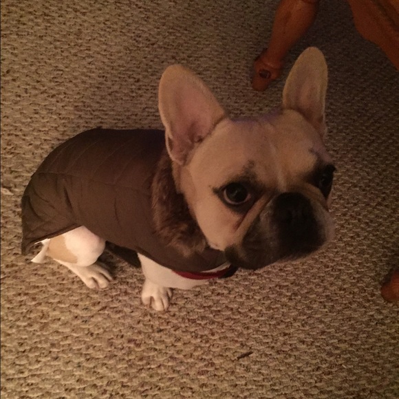 Meet your Posher, Kerri - Picture 1 of 1