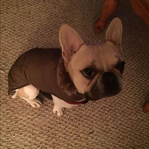 Meet your Posher, Kerri