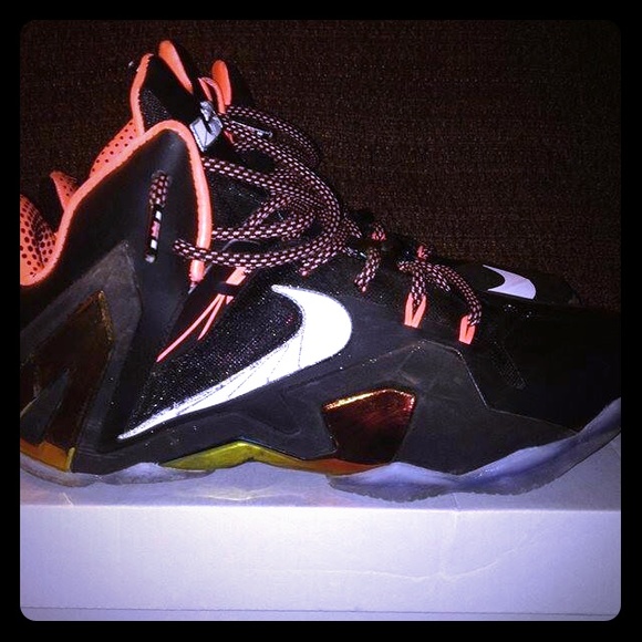 Lebron 11 Elite.