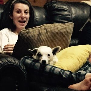 Meet your Posher, Callie