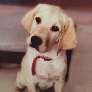 Meet your Posher, Jamie