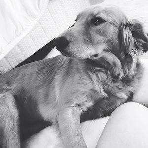 Meet your Posher, Lexi