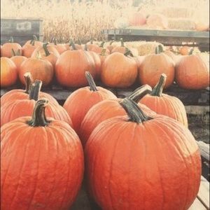 Meet your Posher, Catherine