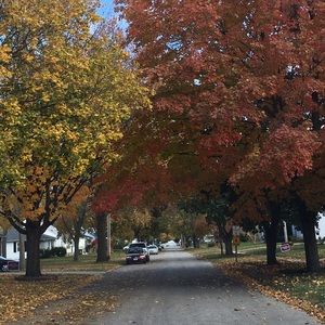 Meet your Posher, Ramajla