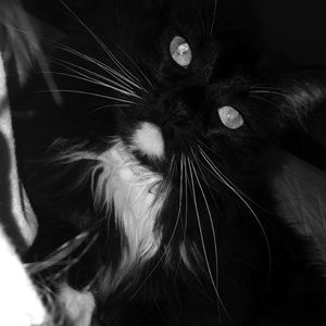 Meet your Posher, Summer