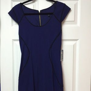 Express Purple Dress