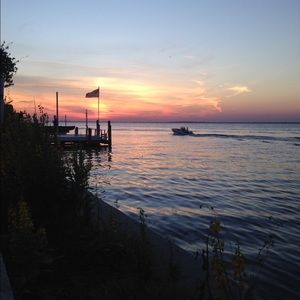 Meet your Posher, Sam