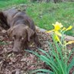 Meet your Posher, Adrienne