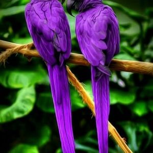 Meet your Posher, Nova