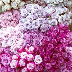 Meet your Posher, Kimono Rose