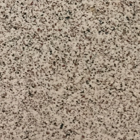 Meet your Posher, Peyton - Picture 1 of 1