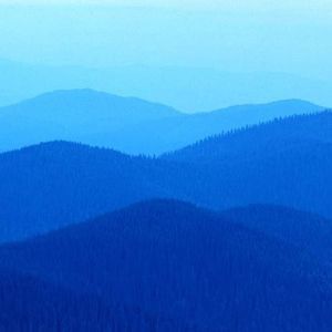 Meet your Posher, Carole