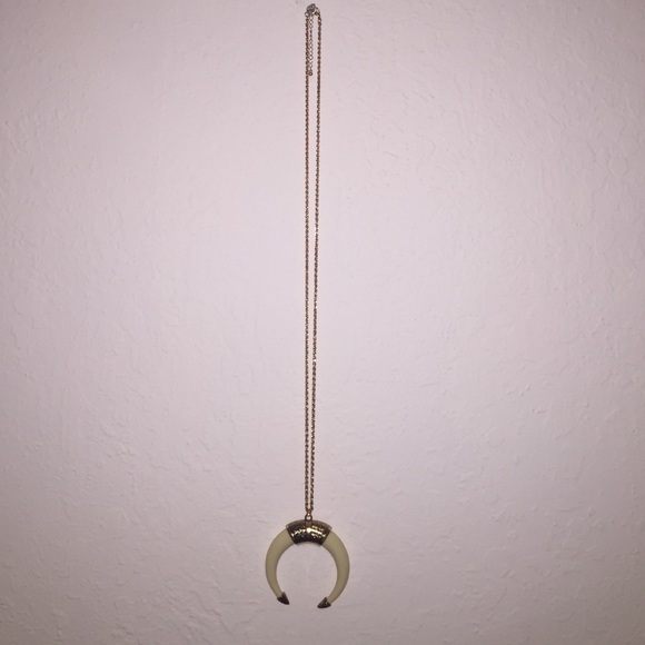 Horn necklace