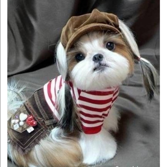 Meet your Posher, Gabby - Picture 1 of 1